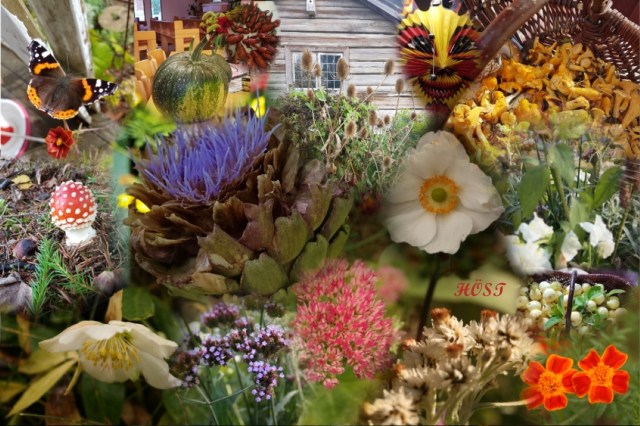 Collage_höst17bloggtext
