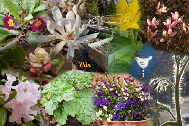 Collage_vår17bloggtext