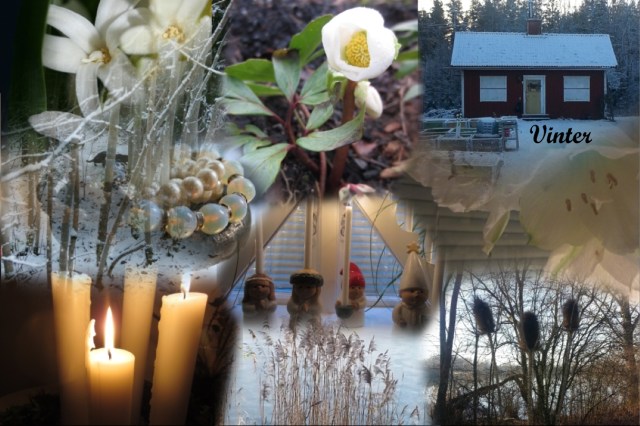 Collage_vinter17bloggtext