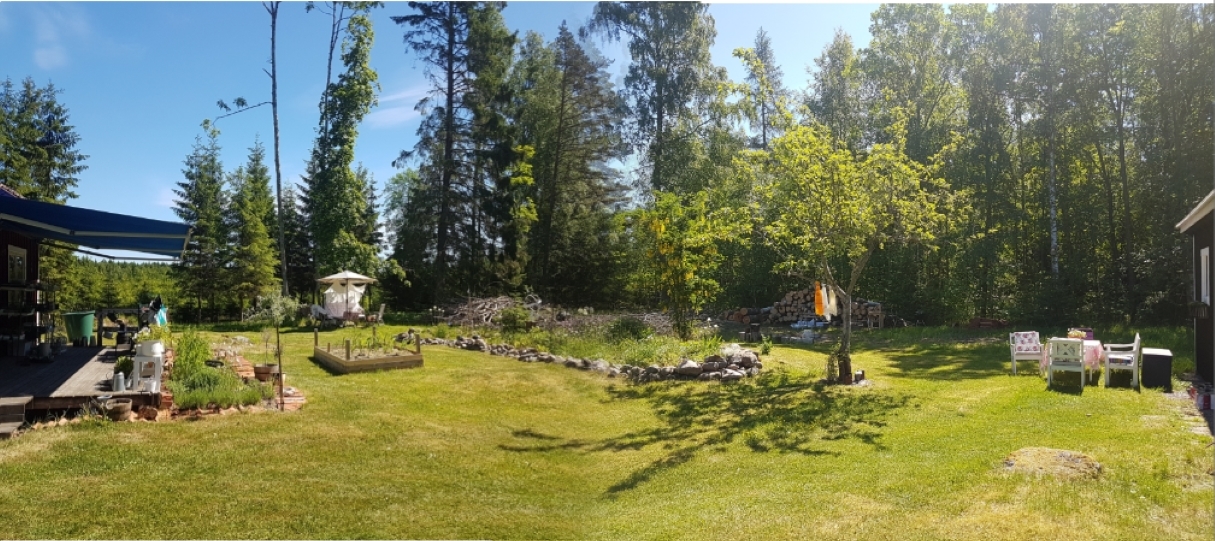 Collage_juni18beskuren