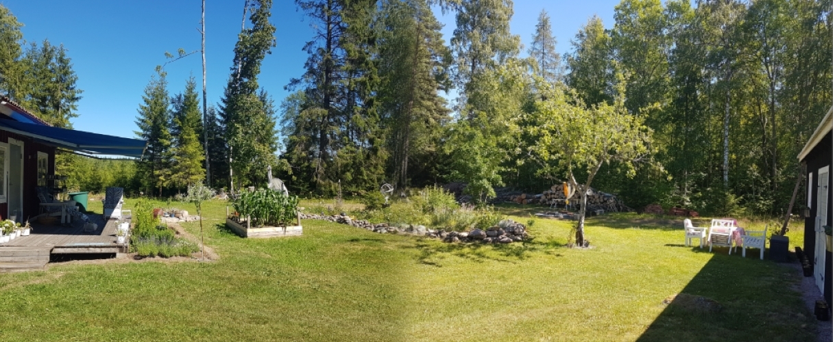 Collage_juli18beskuren