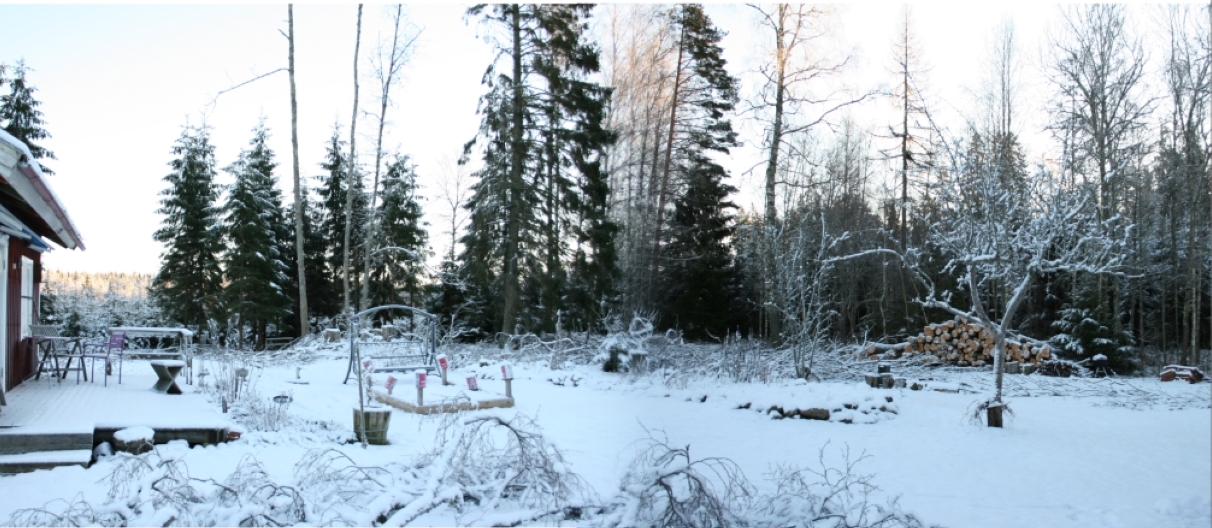 MånCollage_jan18beskuren