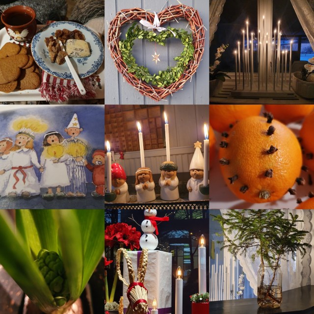 IMG_20191221_084441_227