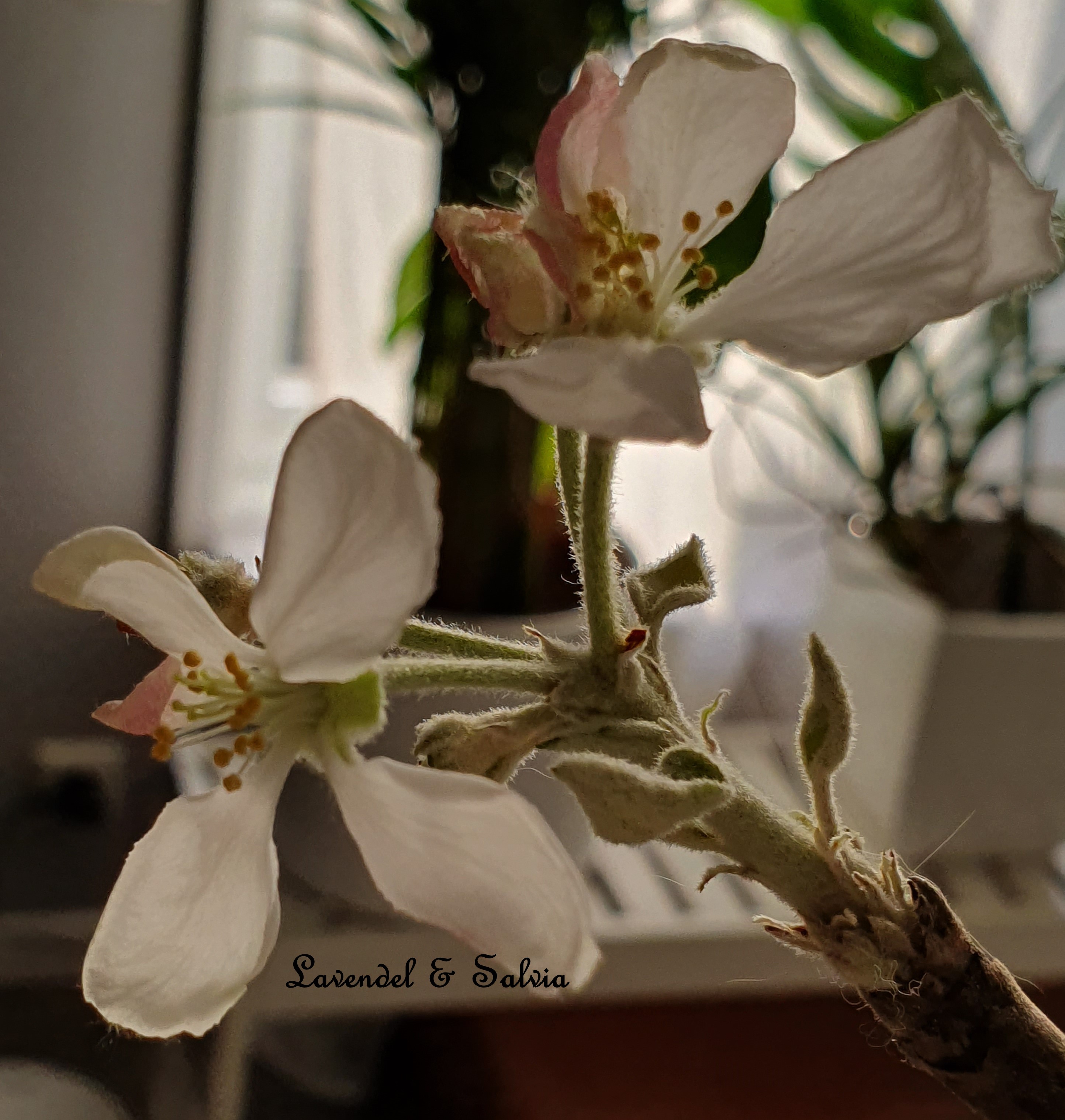 20200110_130414 (2)-001