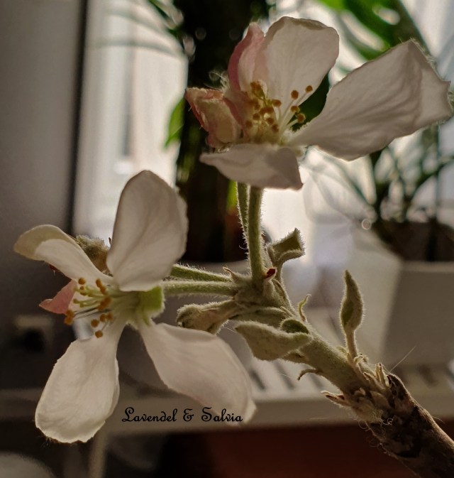 20200110_130414 (2)-001