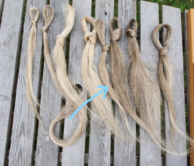 20200802_133013 (2)_LI