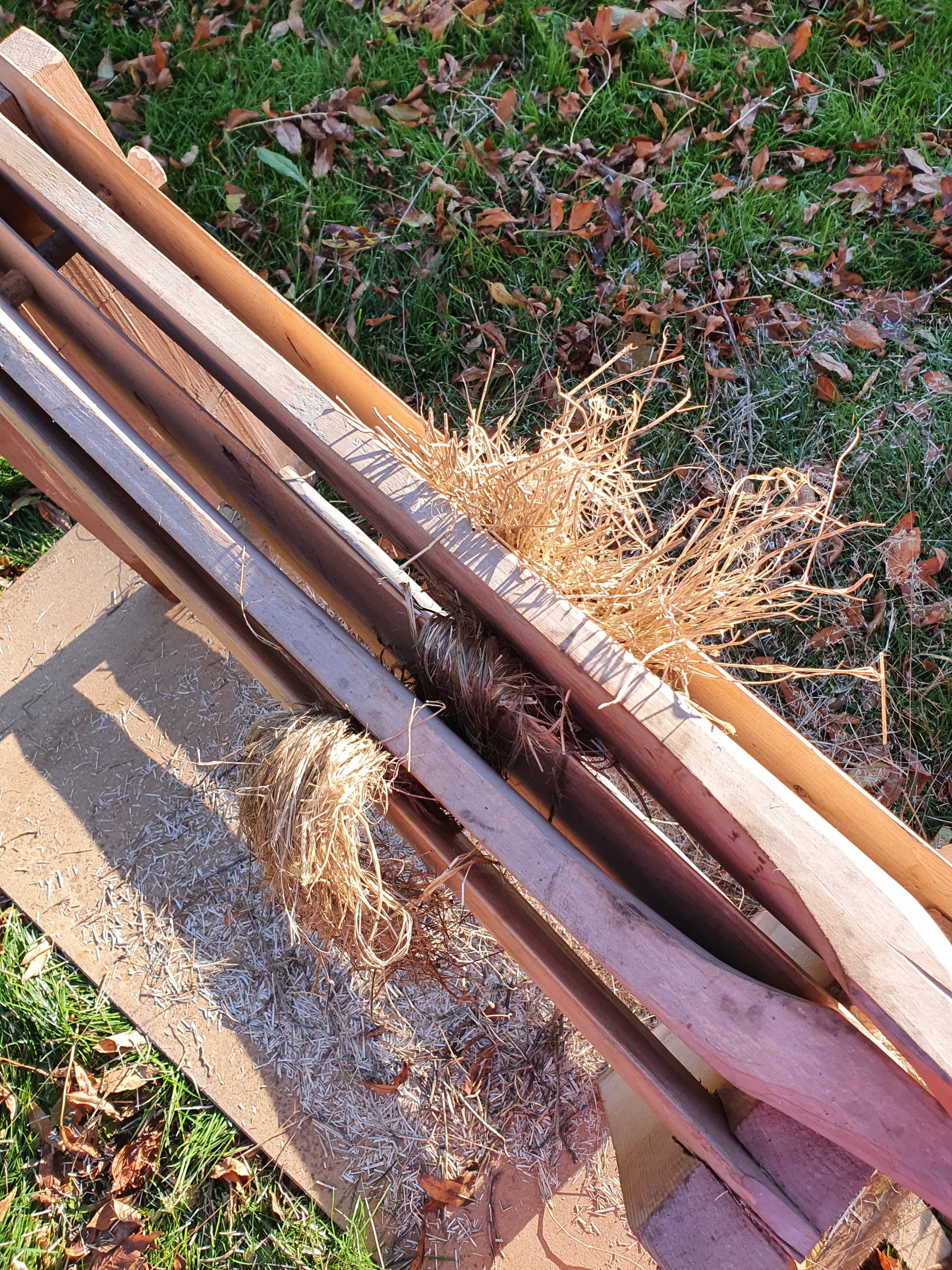 20201018_103904 - kopia