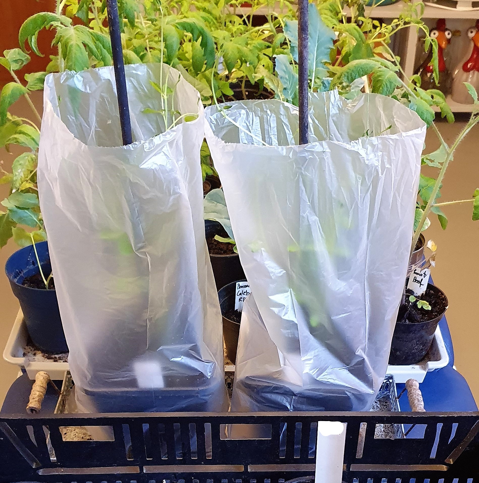 20210409_130041 (3)_LI