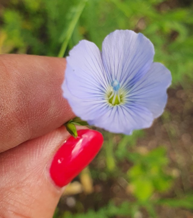 20230714_132553kopia