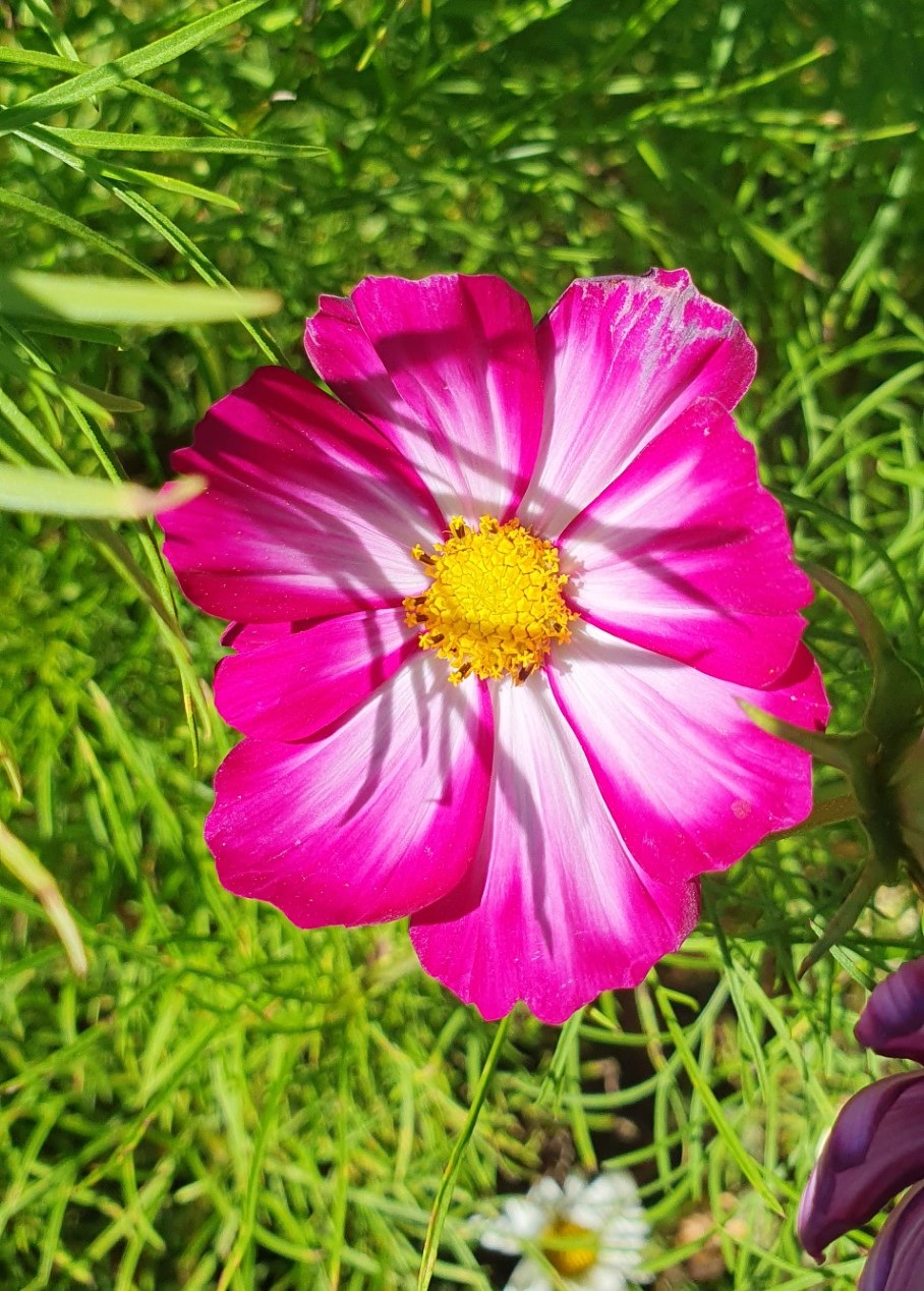 thumbnail_20240811_134003kop